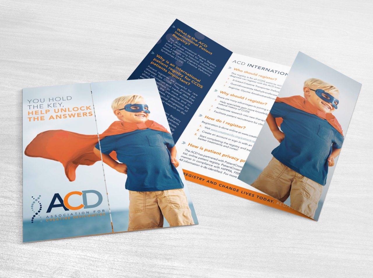 Custom designed tri-fold brochure for Association for Creatine Deficiencies